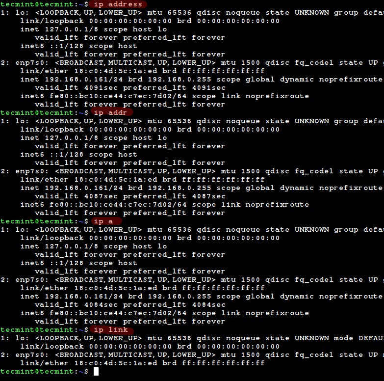 Check IP Address in Linux