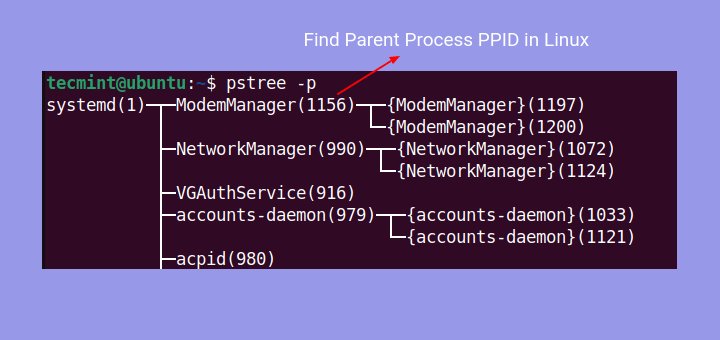 Find Parent Process PID in Linux