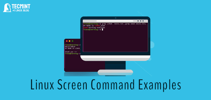Linux Screen Command Examples