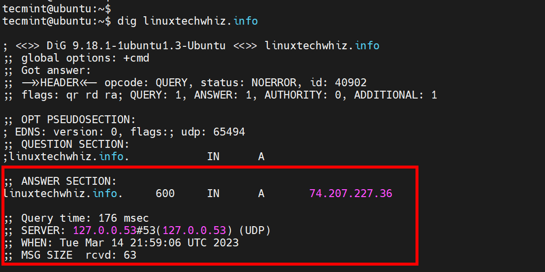 Query Domain DNS Info in Linux