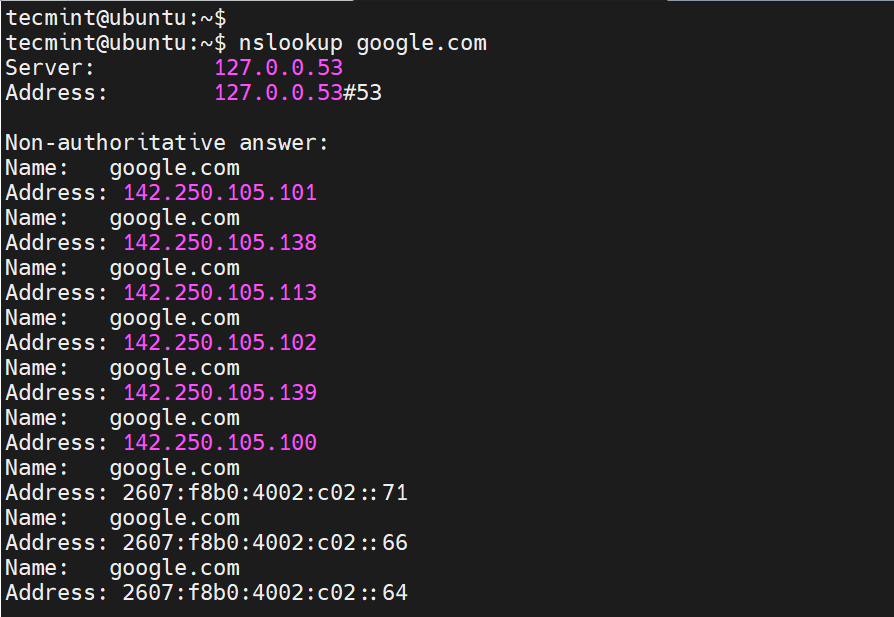 Query Domain DNS in Linux