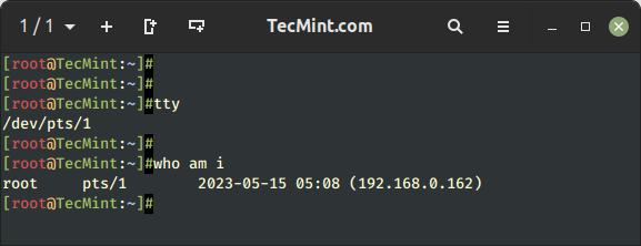 Check Current TTY in Linux