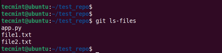 Check File in Git Staging Area