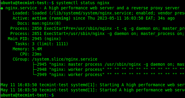 Check Nginx Status