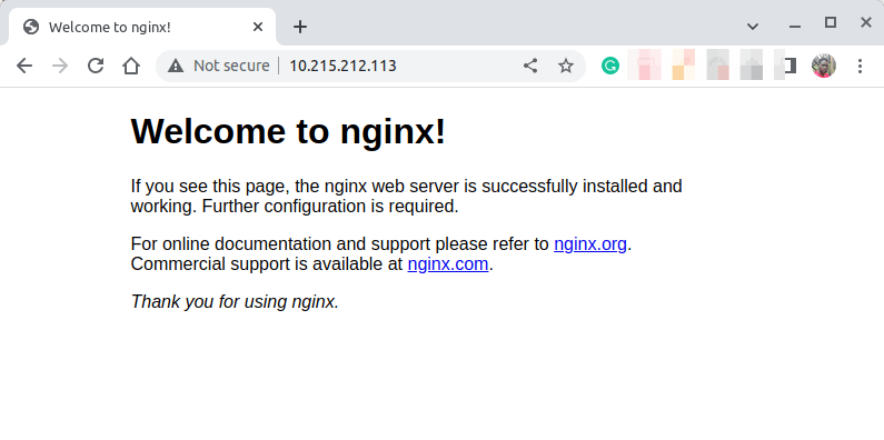 Check Nginx Webpage