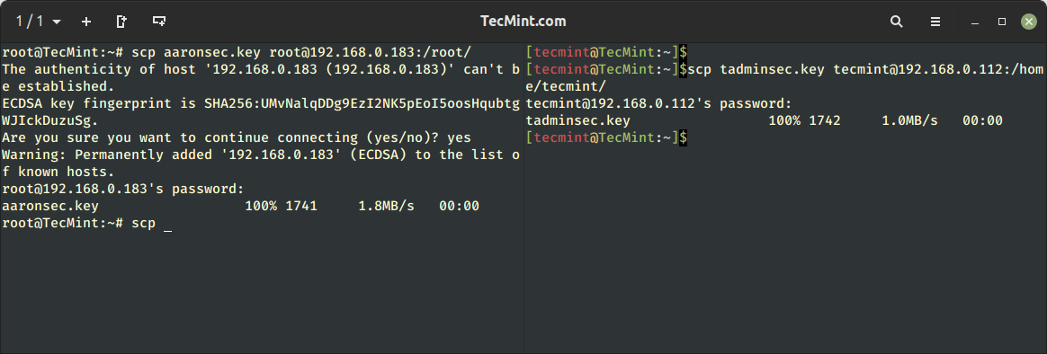 Import GPG Keys