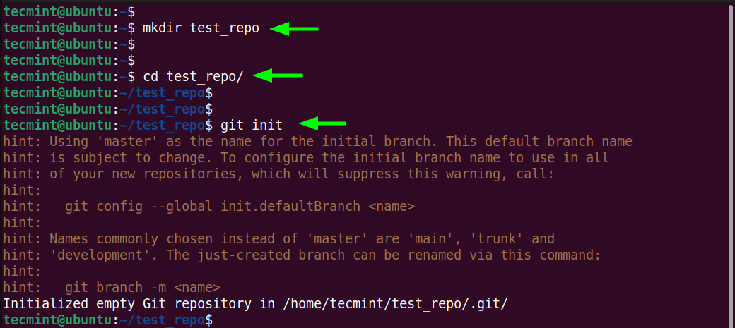 Initialize Git Repository