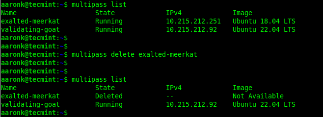 Multipass - Delete Instance