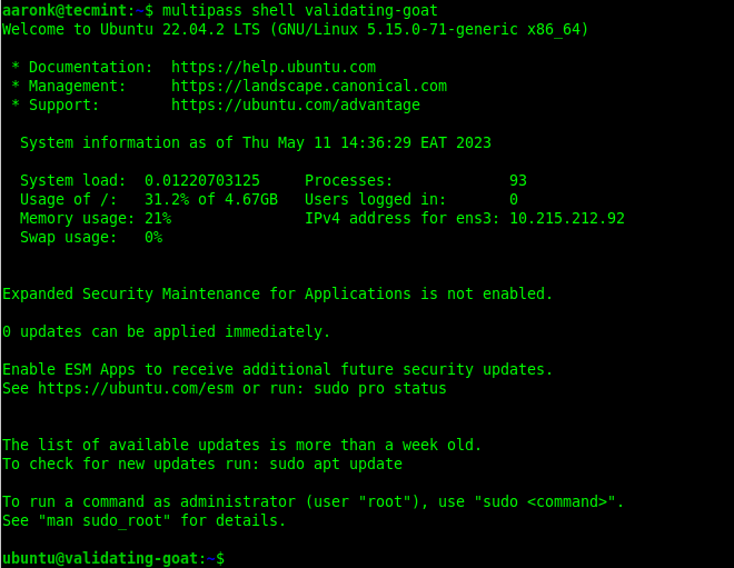 Multipass - Run Shell in Instance