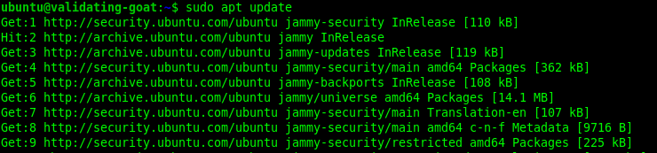 Multipass - Update Instance Packages