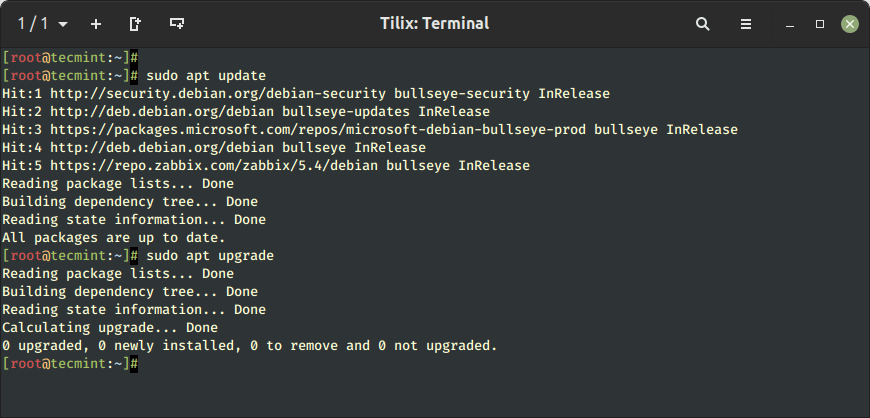 Update Debian 11 Packages