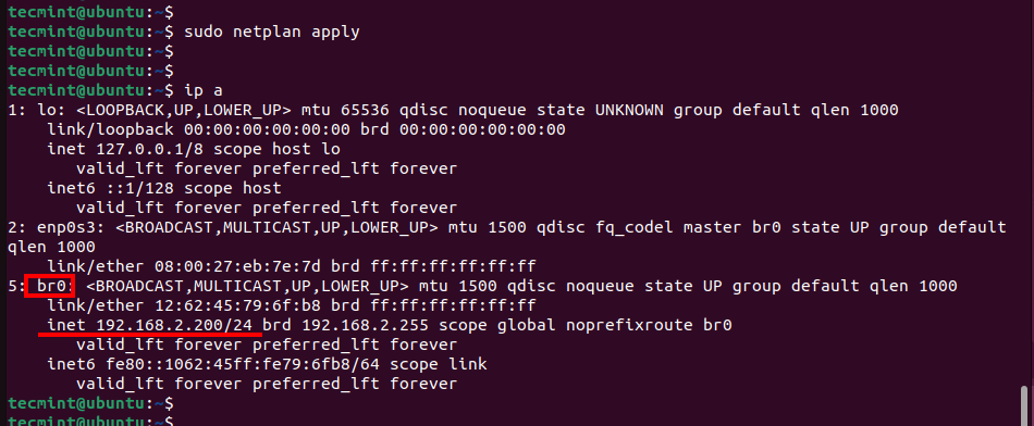 Verify Network Bridge on Ubuntu