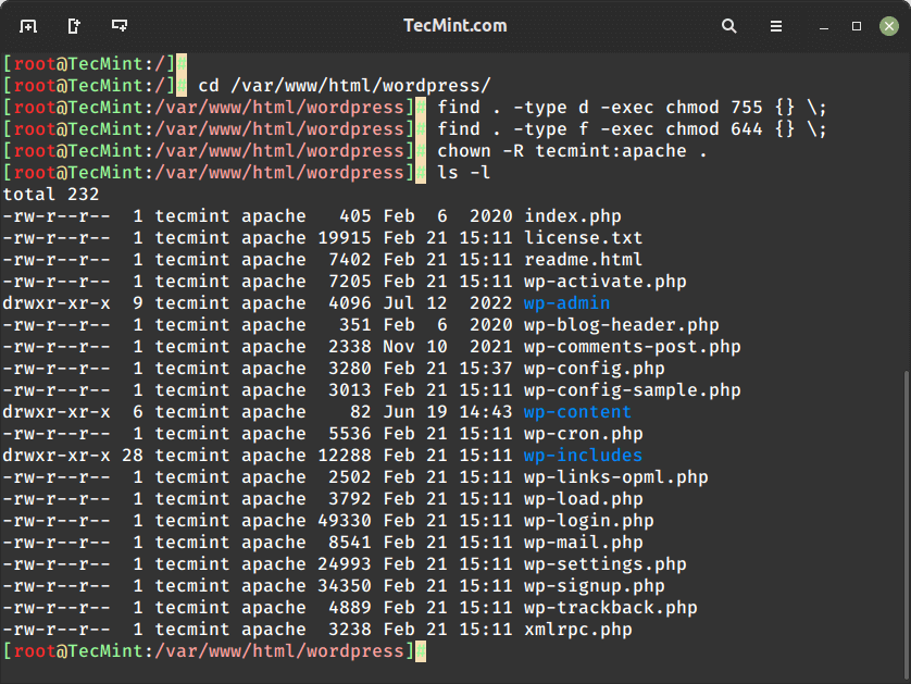 Set Permissions on Apache Root Directory