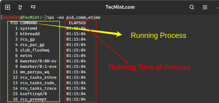 Check Running Process Time in Linux