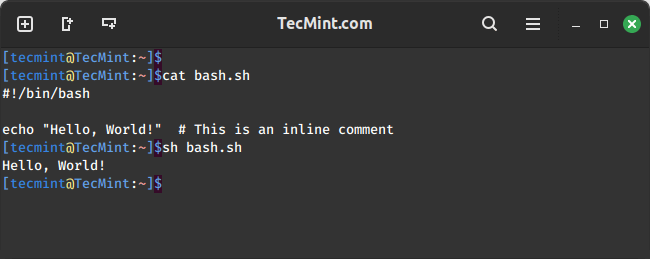 Inline Comments in Bash