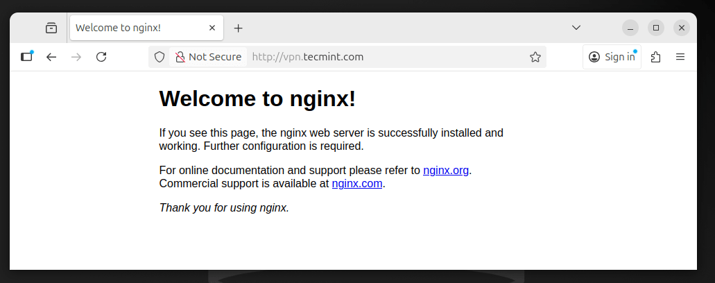 Nginx-Seite prüfen