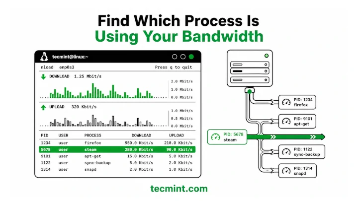 Find Which Linux Process Is Using Your Bandwidth