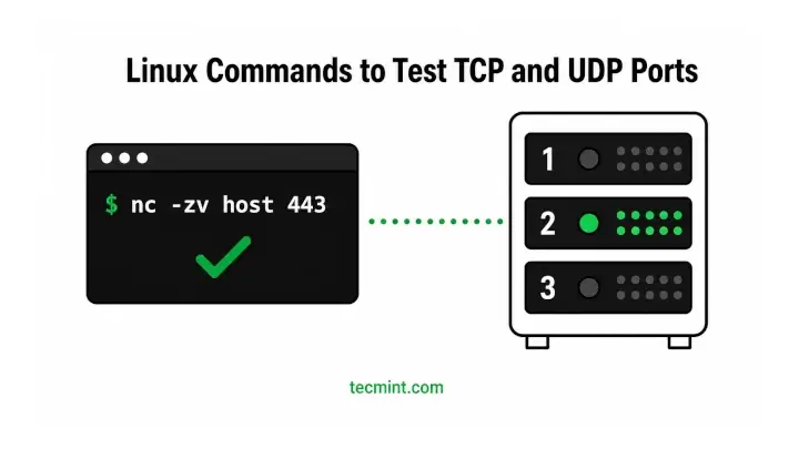 Linux Commands to Test TCP and UDP Ports